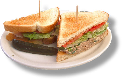 Tuna sandwich recipes
